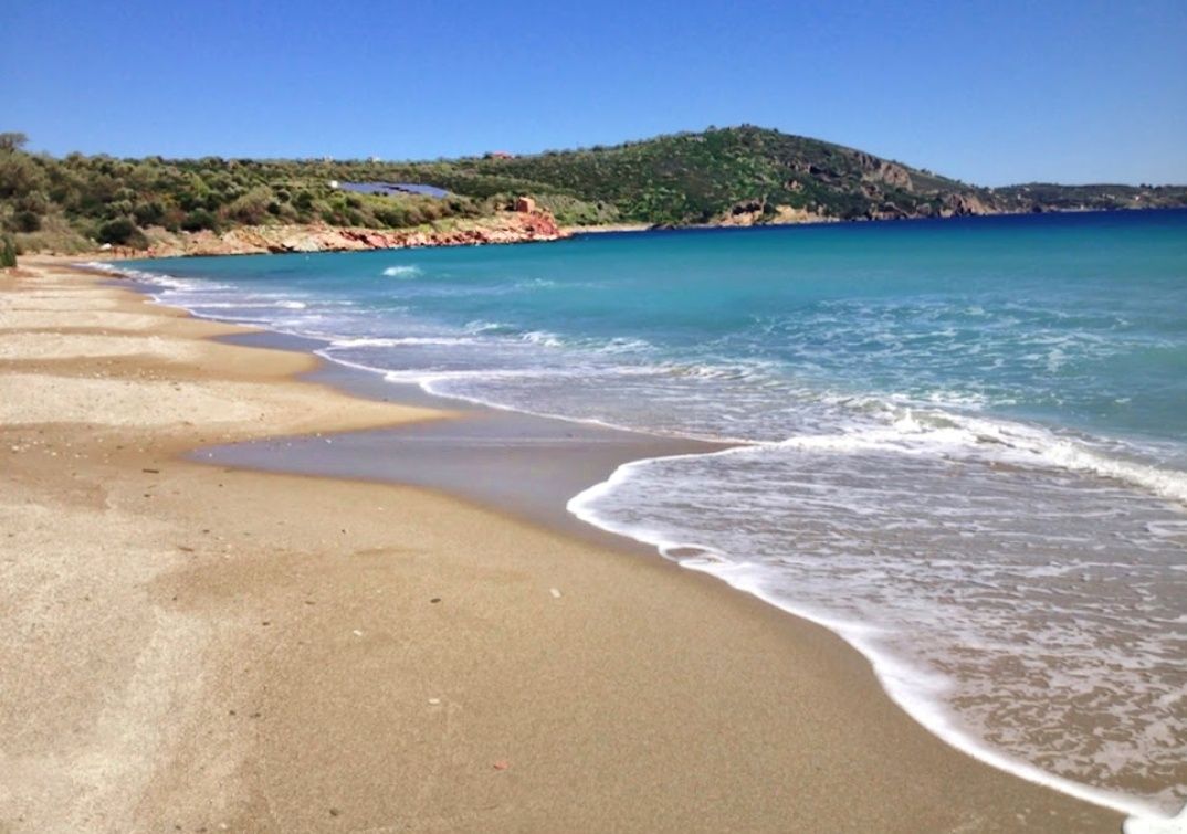 Μάνη σκουταρι